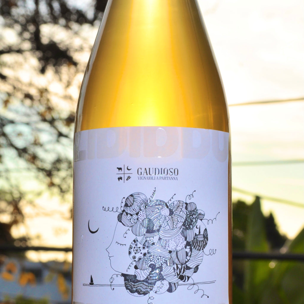 A picture of an orange wine bottle to showcase its color with slight sunset in the background. 