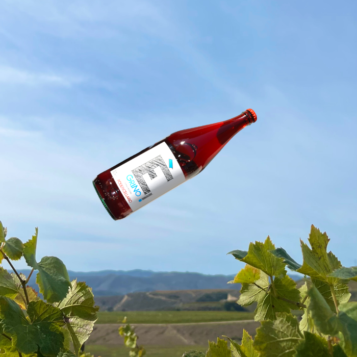 Picture of a Red Wine Bottle with the letter E on the label suspended in the air with a view of the vineyard in the background.