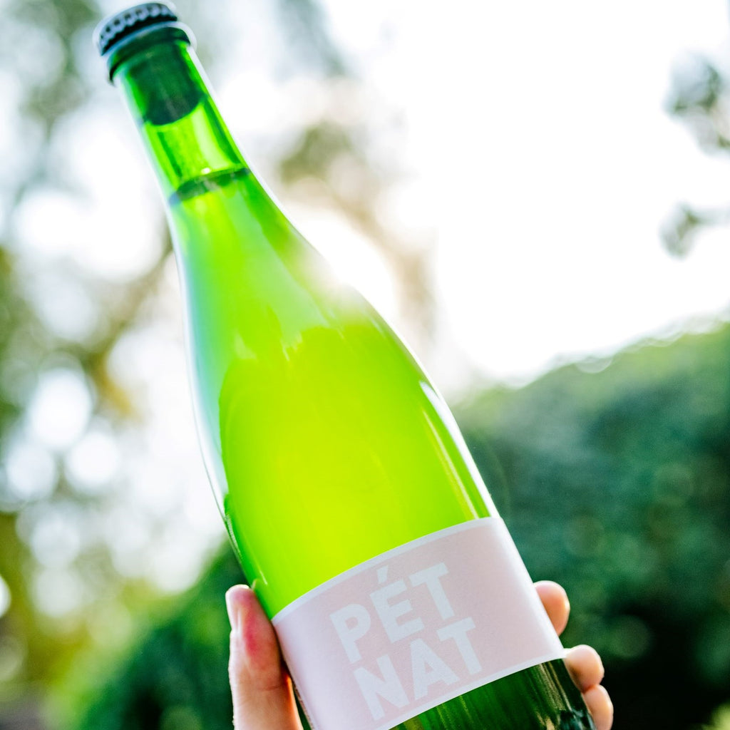 Bottle of Natural Wine, Field Recordings Pet Nat held in hand, with some greenery in the background.