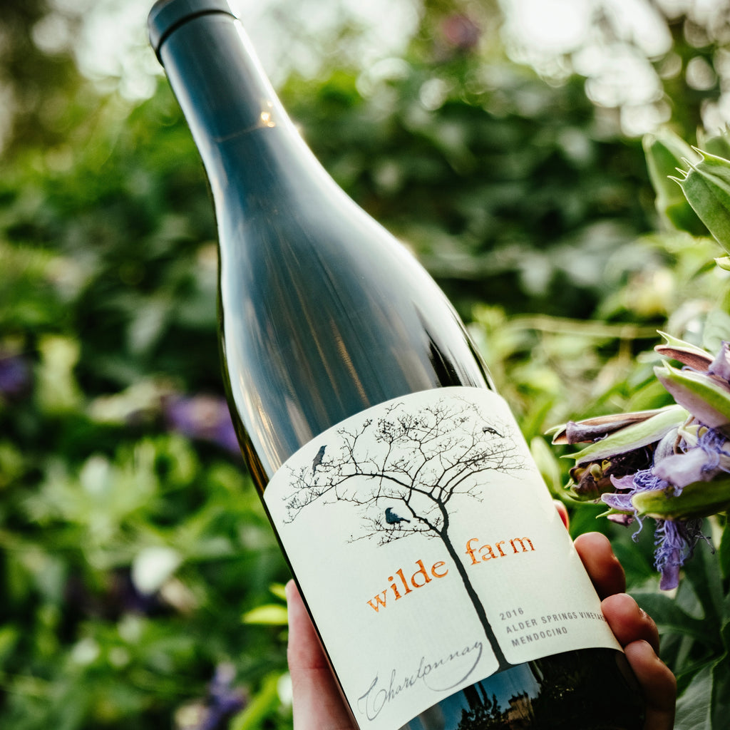 Bottle of Natural Wine, Donkey and Goat Lilly's Pet Nat with flowers and greenery in the background.