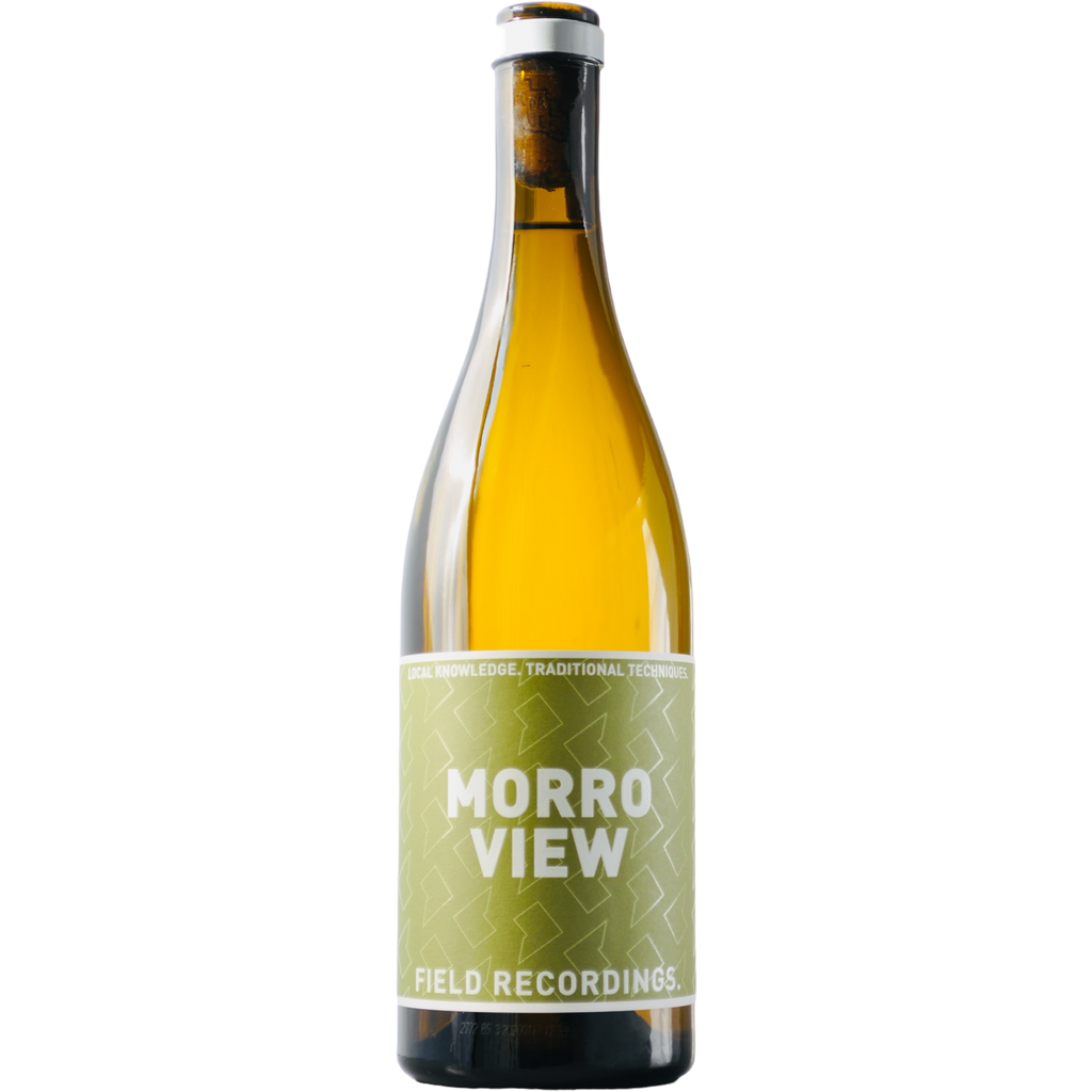 Field Recordings 'Morro View' 2020